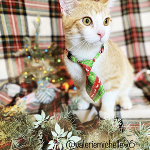 Fundraising Page: Krueger PAC Alum